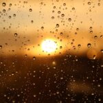 rain, sun, window-3940580.jpg