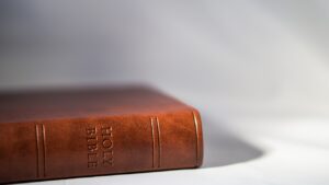 7. Comparație între traduceri ale Bibliei